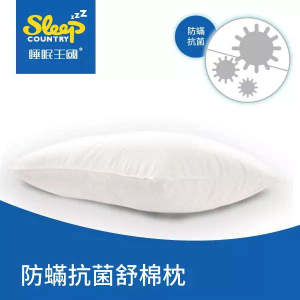 枕頭推薦｜Sleep防蟎抗菌舒棉枕｜睡眠王國家居