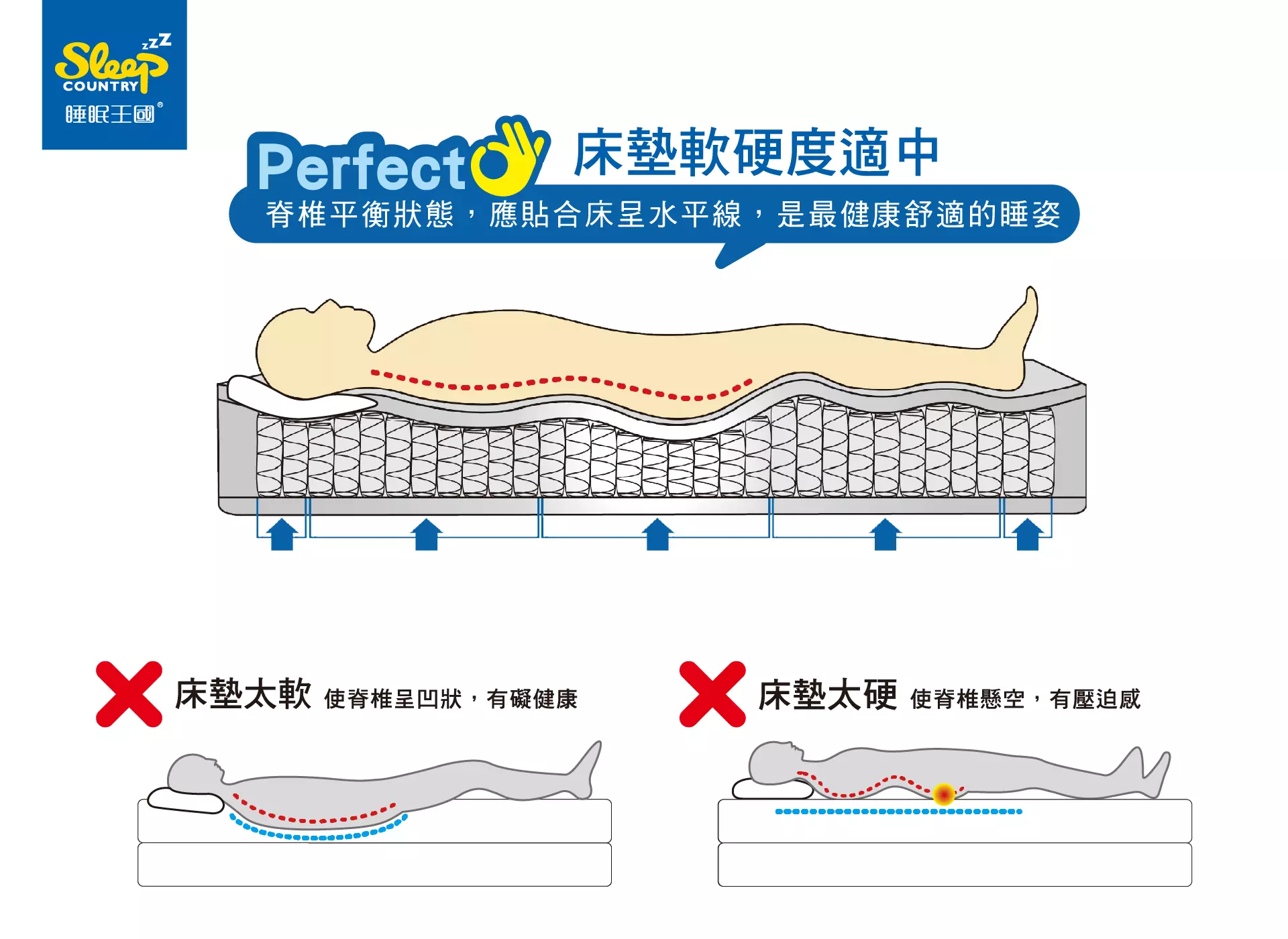 居家生活|購床指南 床墊人體工學|睡眠王國集團