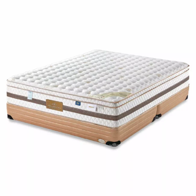 健康床墊mattress｜萊儷絲名床 黛芙妮II｜睡眠王國集團